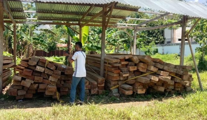 Salahsatu kayu yang berhasil disita Gakkum KLHK yang diduga tidak kantongi dokumen lengkap.( Foto. Pattae.com )
