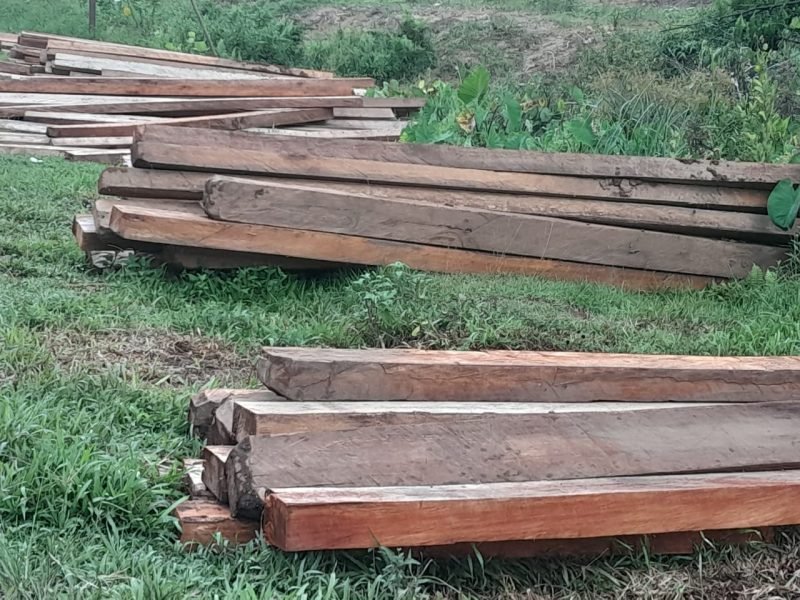 Kayu dalam bentuk bantalan yang diduga hasil perambahan kayu secara membabibuta di kawsan hutan lindung.(Foto/Ruhul)